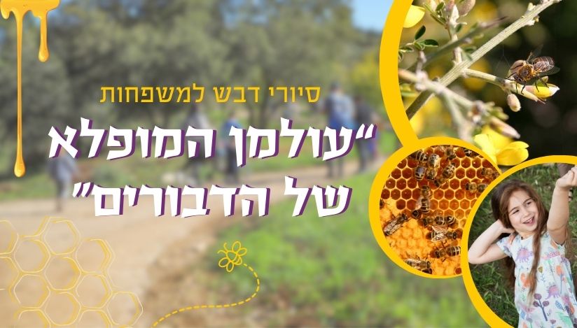 דבש, הכל דבש - סיור מתוק בשמורת הטבע נאות קדומים